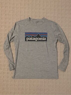 Patagonia Gray Long-Sleeve Logo Tee with Blue and Black Graphic